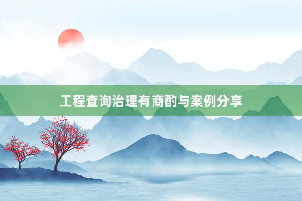工程查询治理有商酌与案例分享