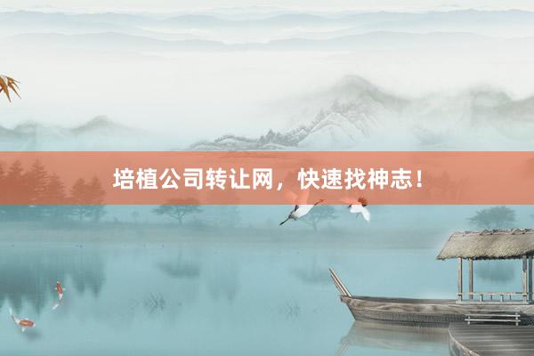 培植公司转让网，快速找神志！
