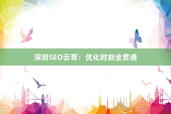 深圳SEO云哥：优化时刻全贯通