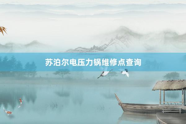 苏泊尔电压力锅维修点查询