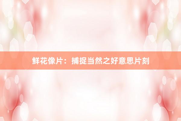 鲜花像片：捕捉当然之好意思片刻